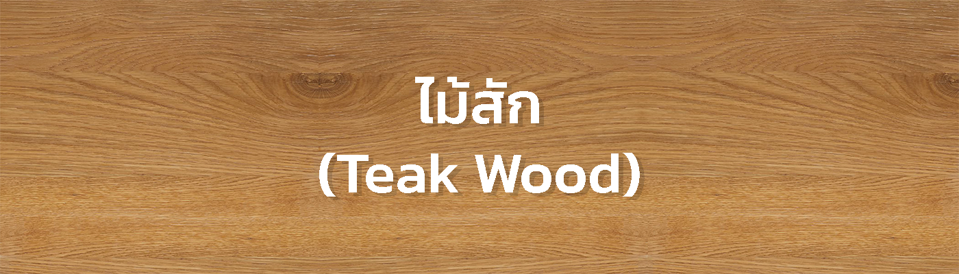 ไม้สัก