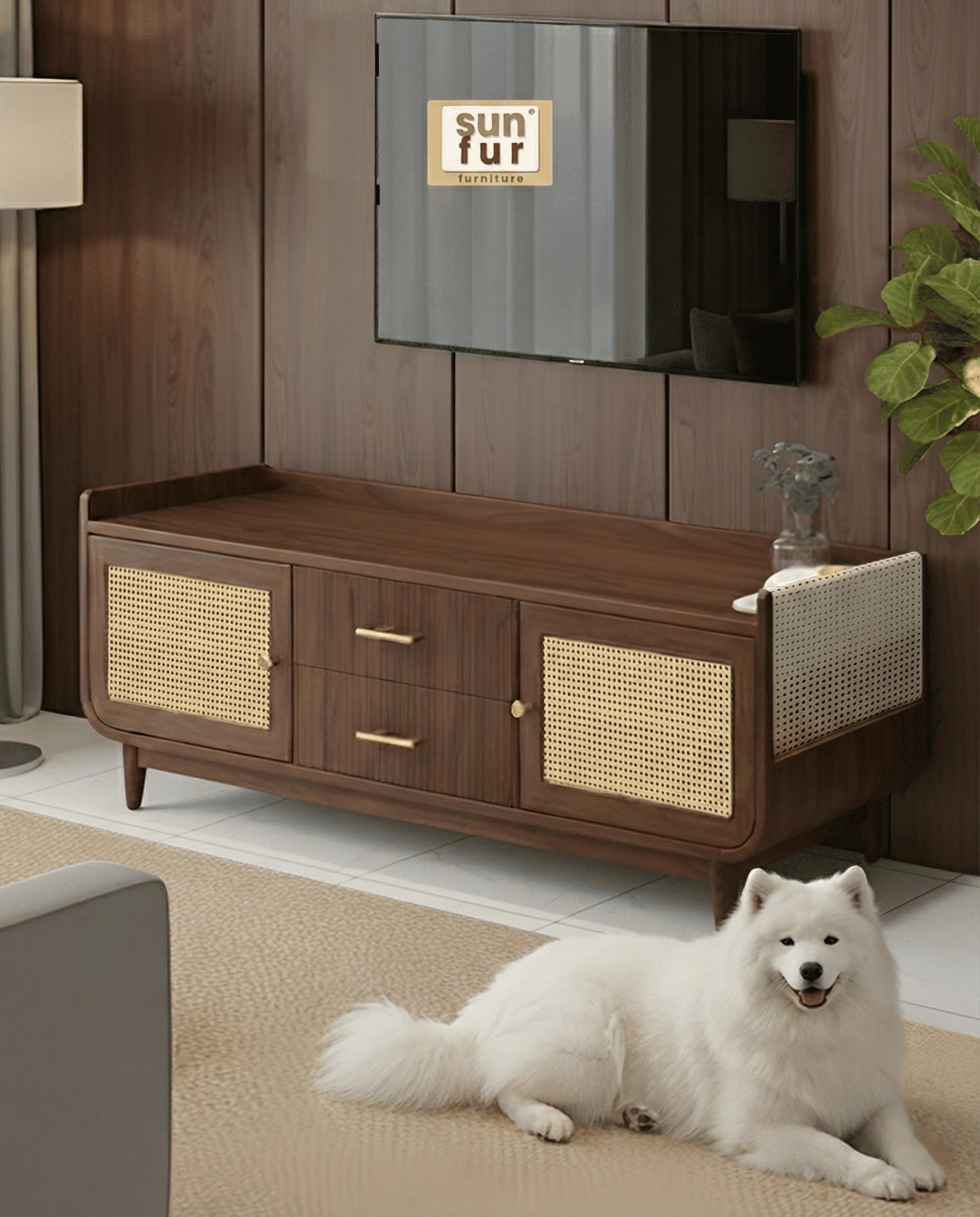 ACCW Dog 2